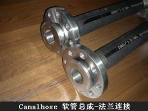 canalhose軟管總成-法蘭連接