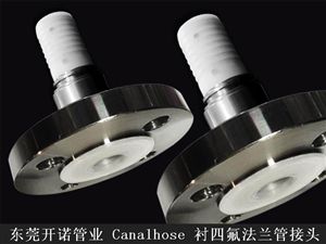 Canalhose 襯四氟法蘭管接頭