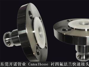 Canalhose 襯四氟法蘭快速接頭